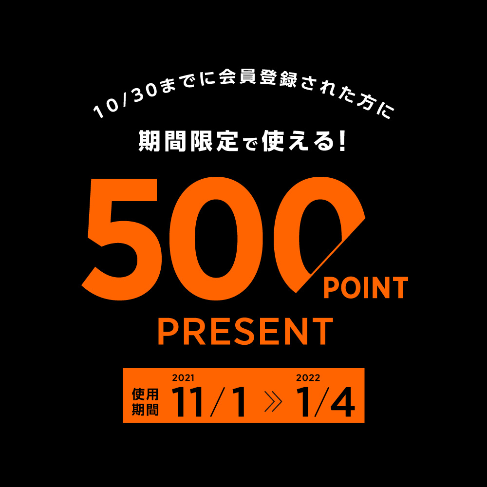 【既存会員様限定】500Pプレゼント