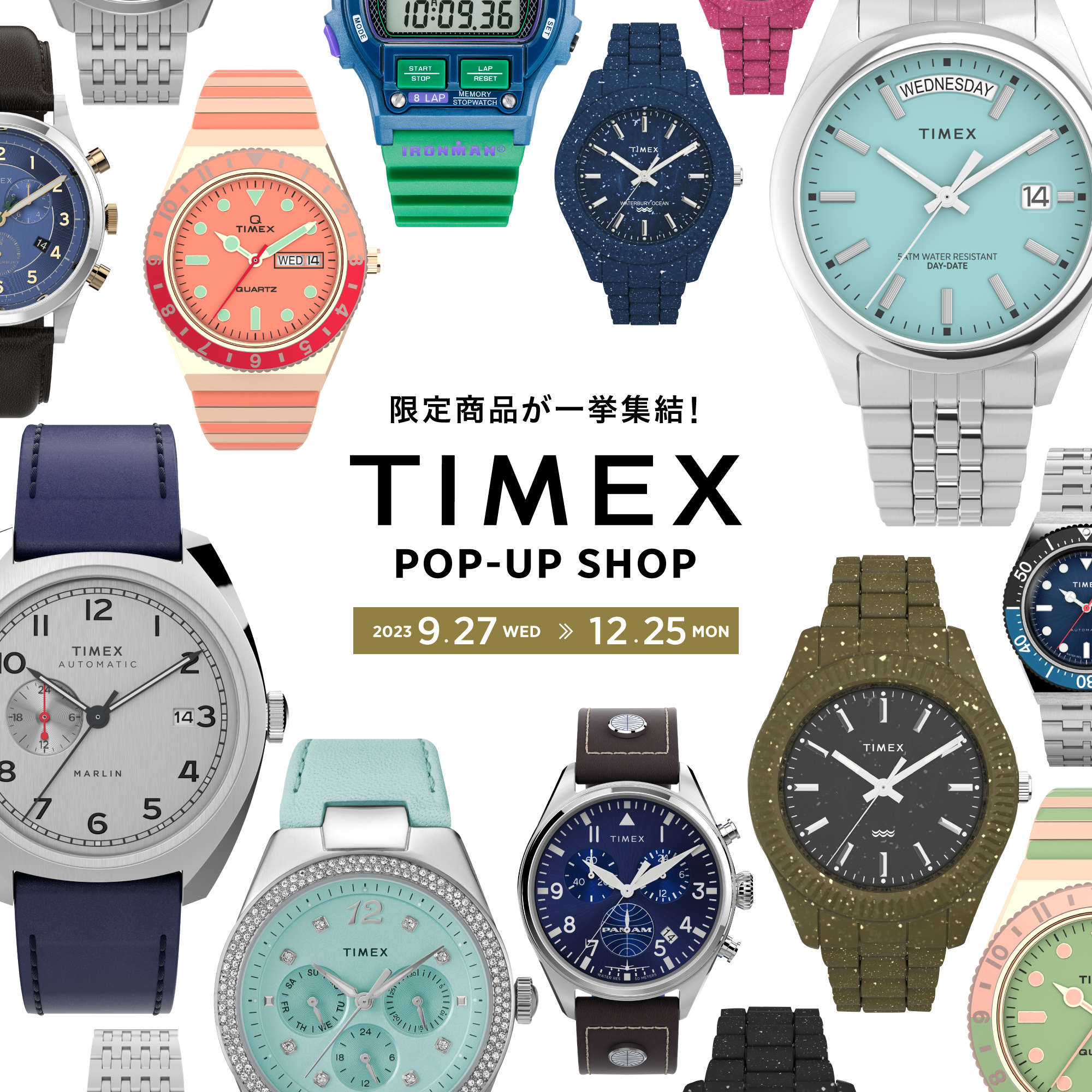 TIMEX Watch